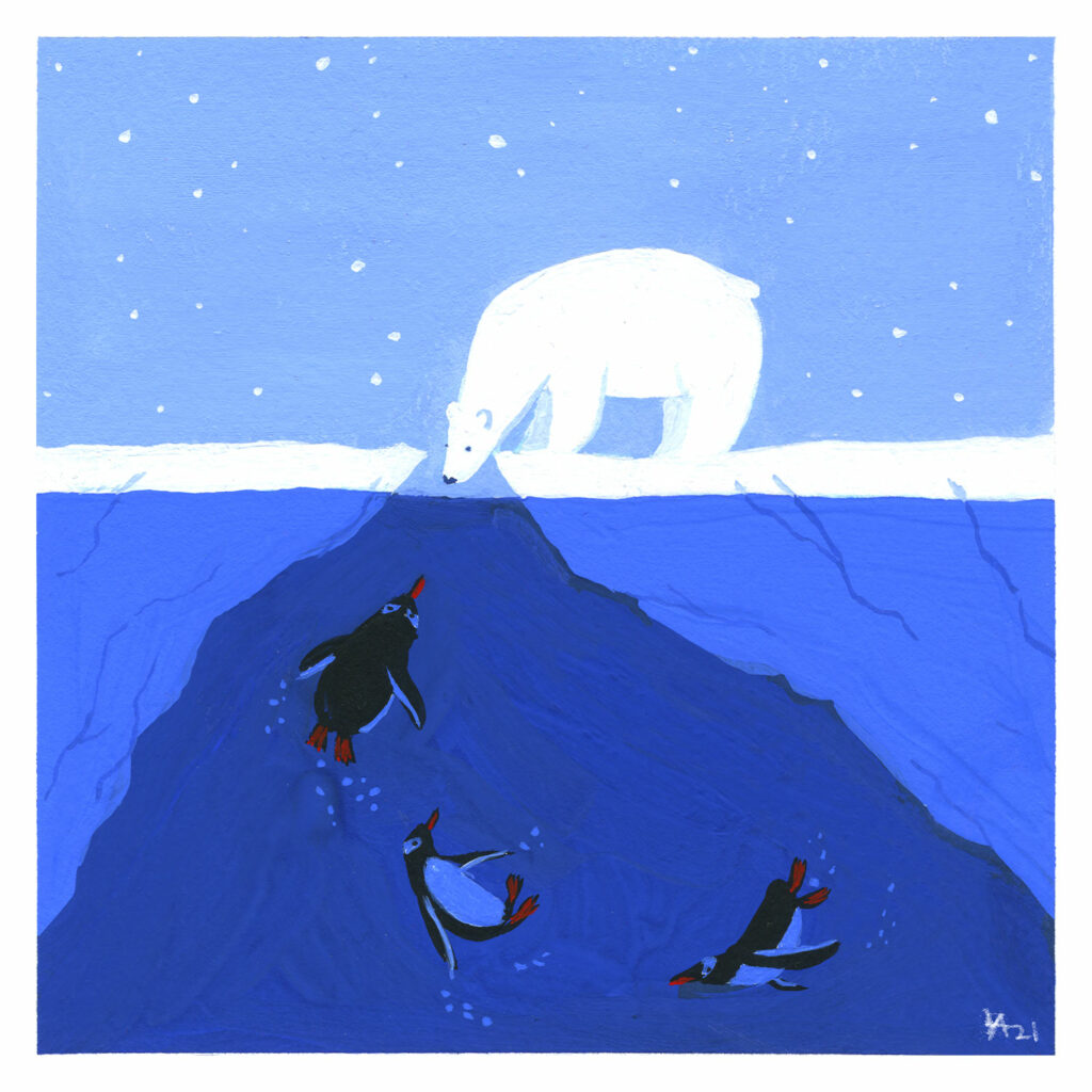 Ours - Audrey Leclercq / Illustration